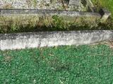image of grave number 206820